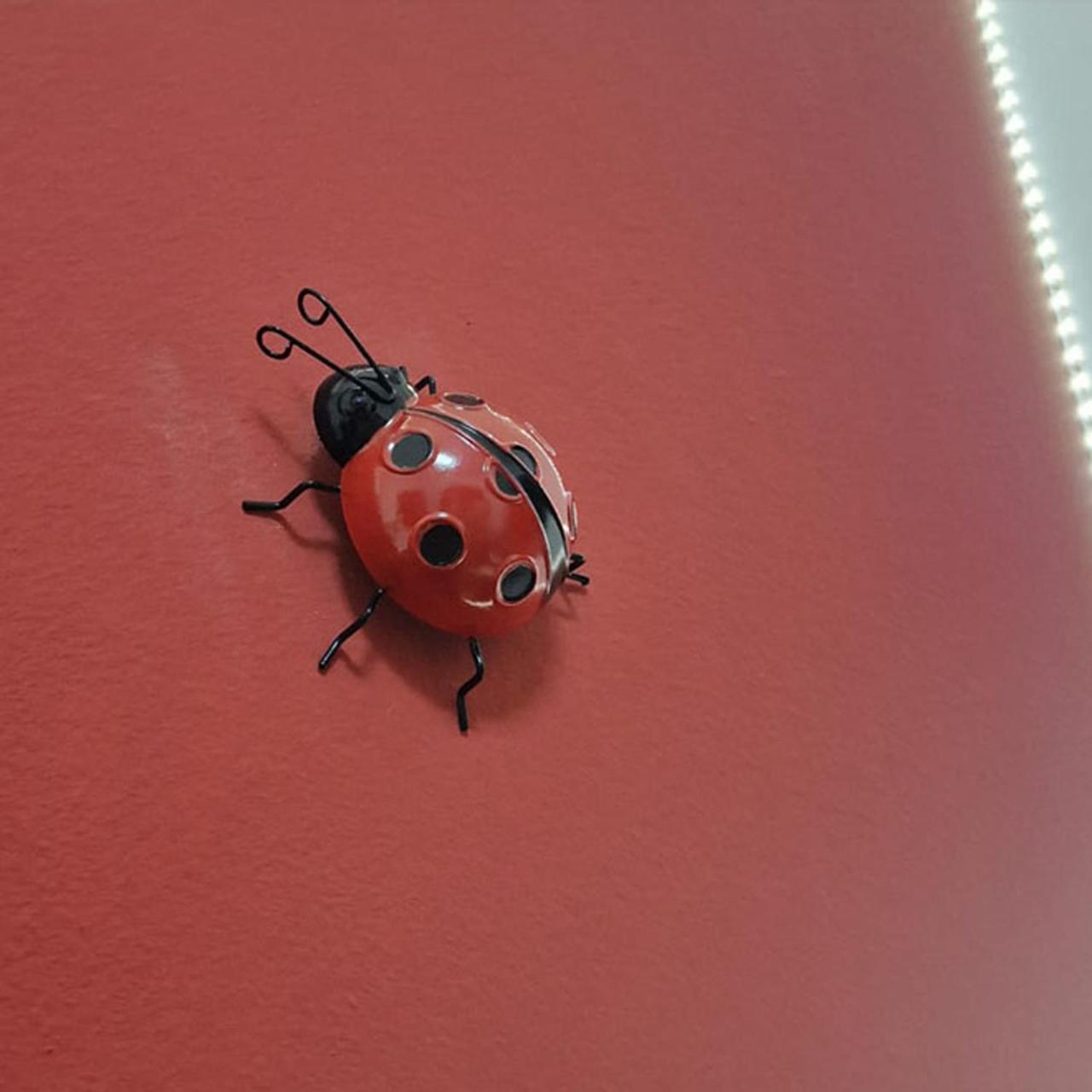 Casa Fortunata Con Parcheggio Livorno Eksteriør bilde